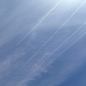 Meet your Posher, Bonna